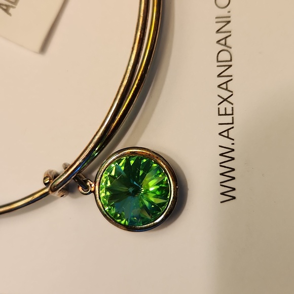 NEW in box Alex and Ani Energy bracelet - Picture 5 of 5
